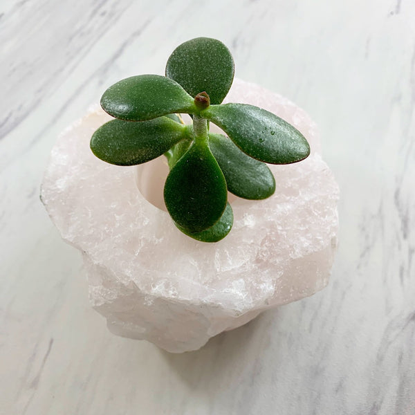 Rose Quartz Candle Holder