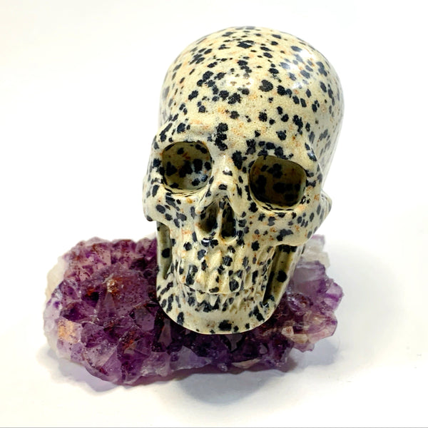 Dalmatian Jasper Skull
