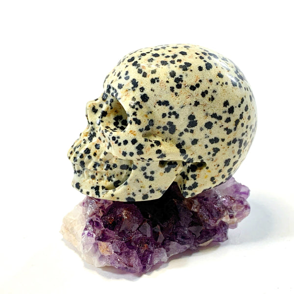Dalmatian Jasper Skull