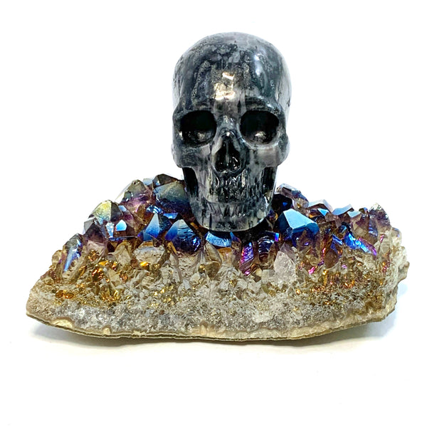 Indigo Gabbro Skull