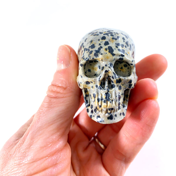 Dalmatian Jasper Skull