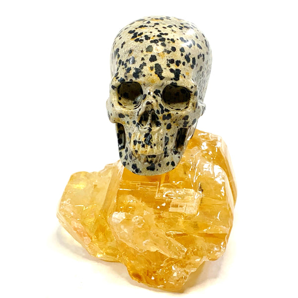 Dalmatian Jasper Skull