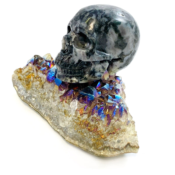Indigo Gabbro Skull