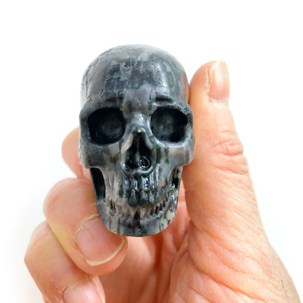 Indigo Gabbro Skull